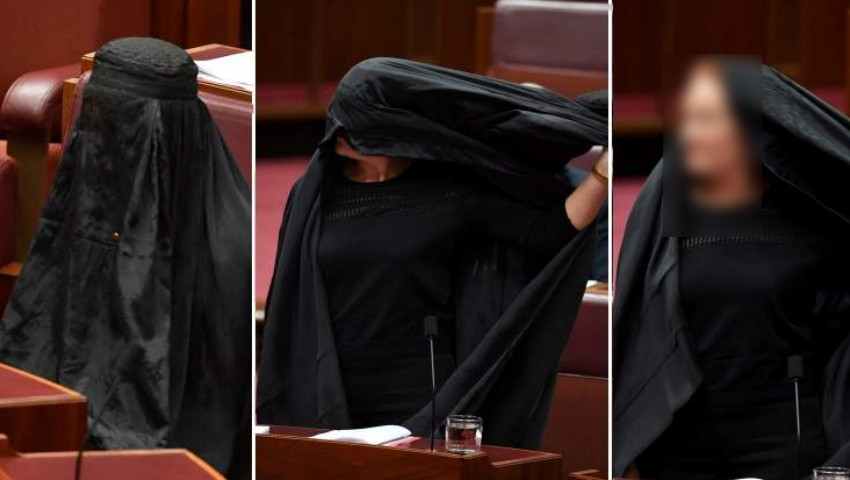 পার্লামেন্টে বোরকা অবমাননা করে নিজেই হলেন অপমানিত
