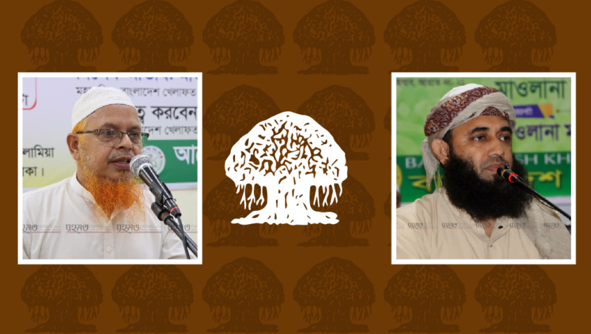 বটগাছ প্রতীকে ব্রাহ্মণবাড়িয়া-৫ আসনে লড়বেন মাওলানা মুজিবুর রহমান হামিদী, কুমিল্লা-১ মুফতি সুলতান মহিউদ্দিন